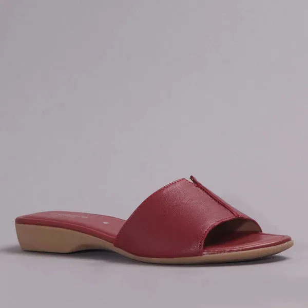 11643 - Wider Fit Mule Sandal