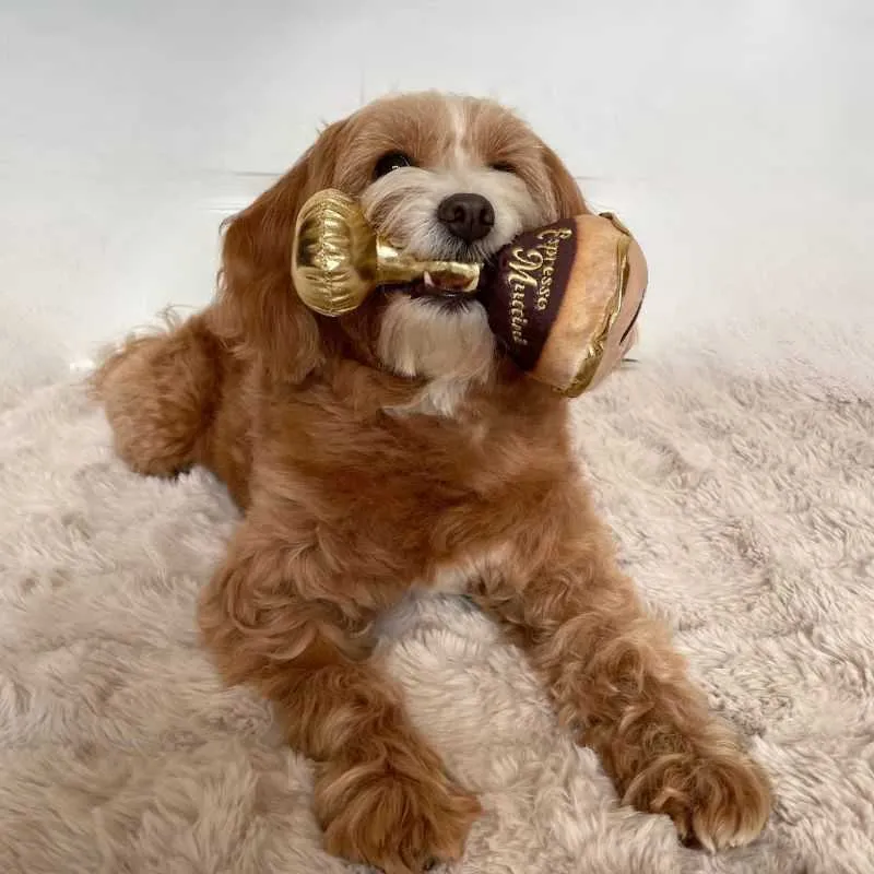 Espresso Muttini Dog Toy