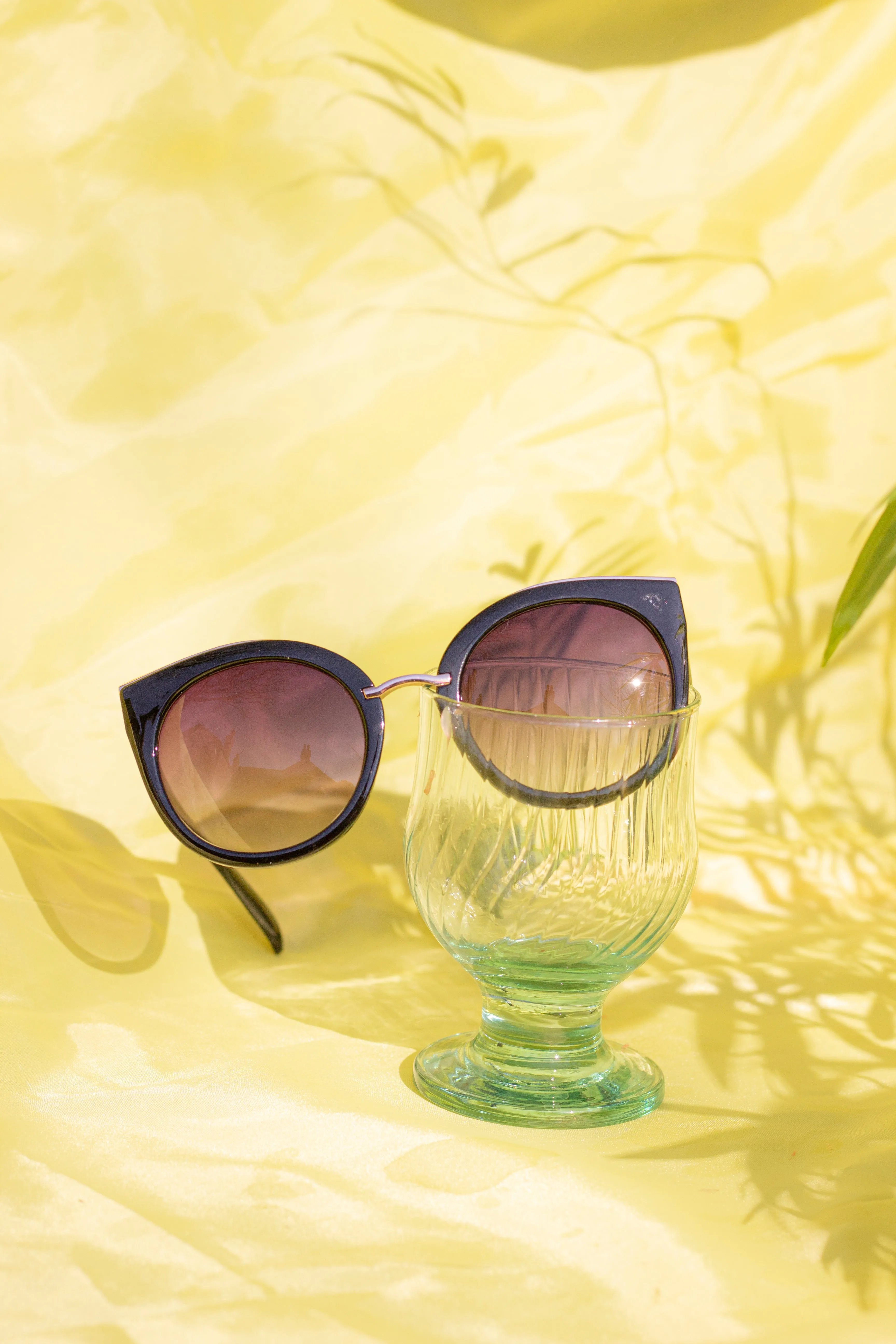 Gold Rim Cat Eye Sunglasses
