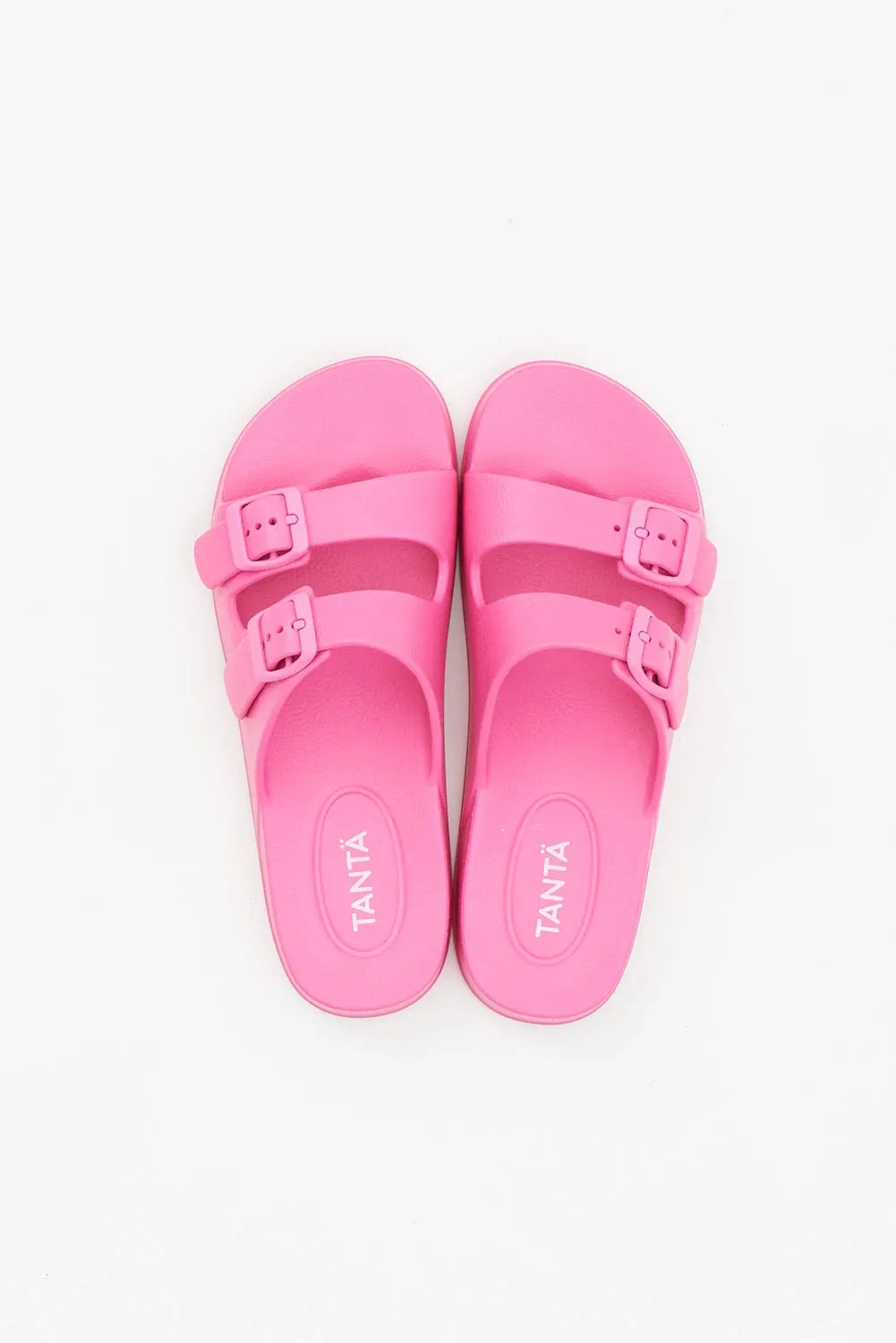 Skyfall Pink Cosmos